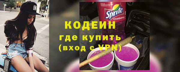 гашик Осинники