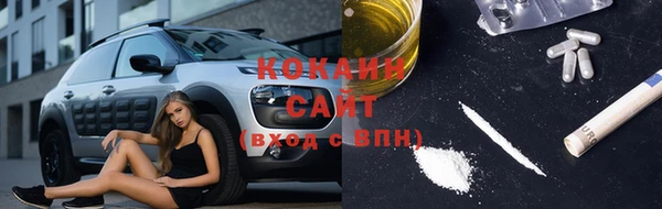 гашик Осинники