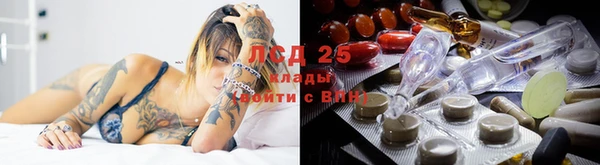 гашик Осинники