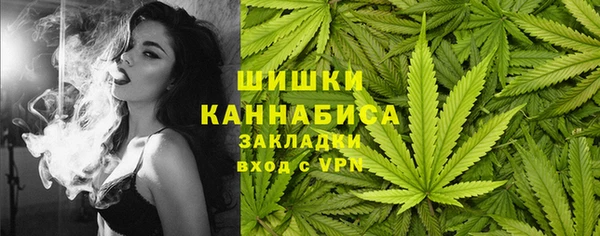 гашик Осинники