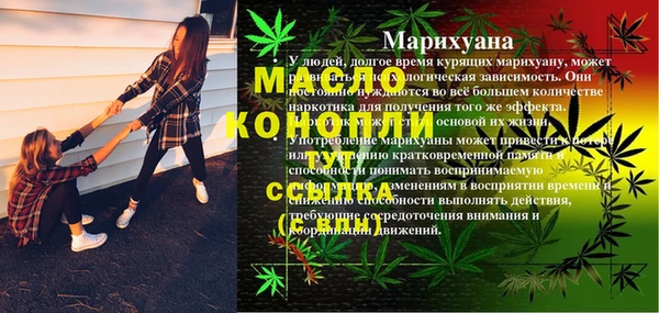 гашик Осинники